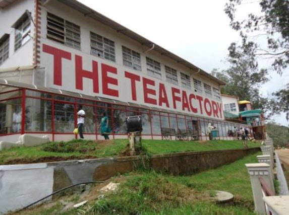 Tea Factory